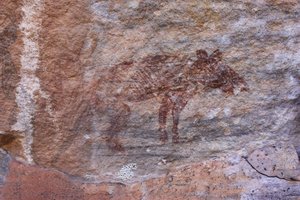 Animale estinto da Unbekannt Unbekannt
